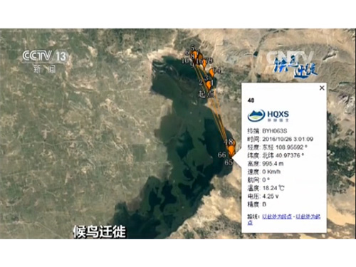 2016年我们与大天鹅一起前行