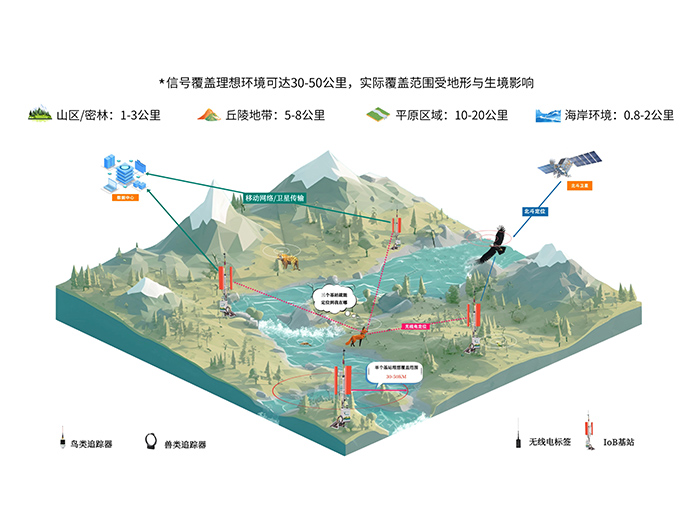 MG4355线路检测中心IoB网络化监测系统：让鸟类迁徙不再神秘