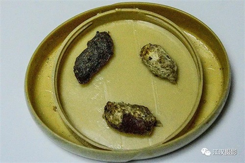 MG4355线路检测中心,湖南野活泼物追踪,湖南卫星追踪器,湖南追踪器