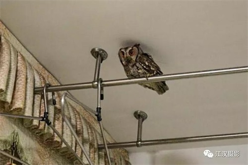 MG4355线路检测中心,湖南野活泼物追踪,湖南卫星追踪器,湖南追踪器