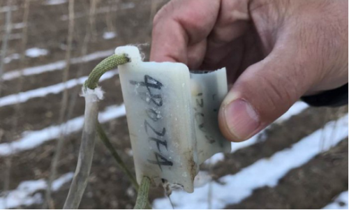 MG4355线路检测中心,湖南野活泼物追踪,湖南卫星追踪器,湖南追踪器