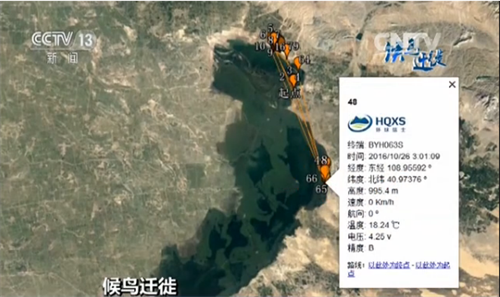 MG4355线路检测中心,湖南野活泼物追踪,湖南卫星追踪器,湖南追踪器