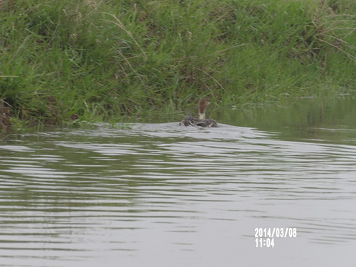 MG4355线路检测中心,湖南野活泼物追踪,湖南卫星追踪器,湖南追踪器