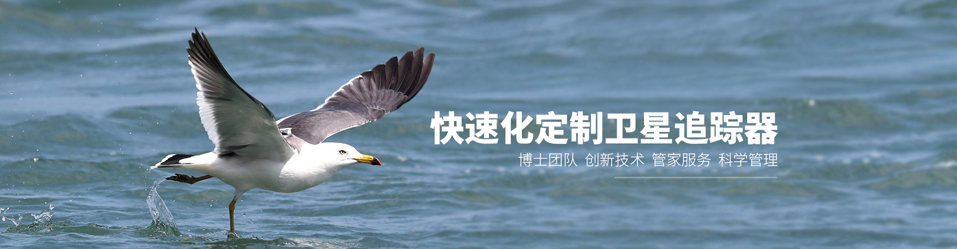 MG4355线路检测中心_湖南野活泼物追踪|湖南卫星追踪器