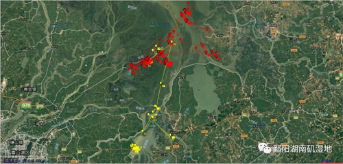 MG4355线路检测中心,湖南野活泼物追踪,湖南卫星追踪器,湖南追踪器
