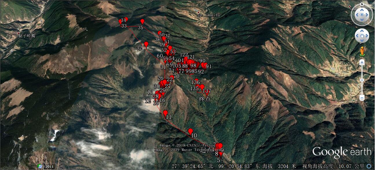 攸县兴林油茶,油茶苗,油茶果,轻基质杯苗,裸根苗,油茶苗价值,油茶苗批发,油茶苗基地