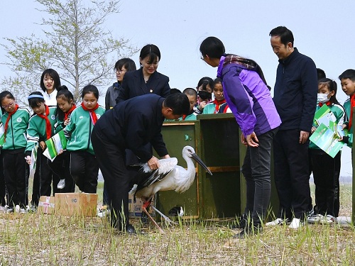 MG4355线路检测中心,湖南野活泼物追踪,湖南卫星追踪器,湖南追踪器