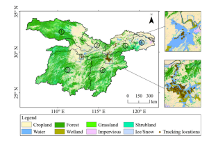MG4355线路检测中心,湖南野活泼物追踪,湖南卫星追踪器,湖南追踪器