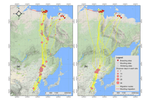 MG4355线路检测中心,湖南野活泼物追踪,湖南卫星追踪器,湖南追踪器