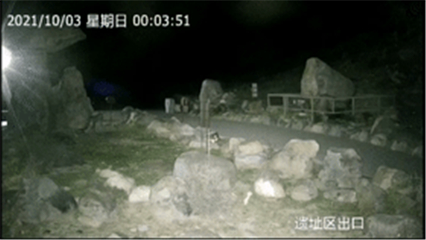 MG4355线路检测中心,湖南野活泼物追踪,湖南卫星追踪器,湖南追踪器