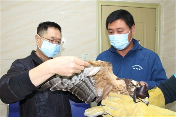 MG4355线路检测中心,湖南野活泼物追踪,湖南卫星追踪器,湖南追踪器