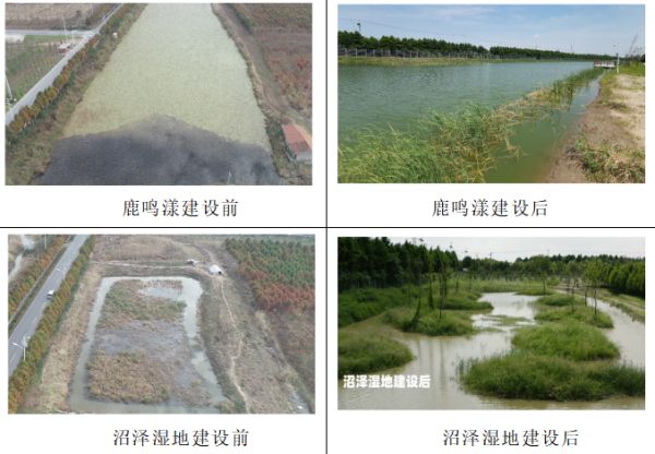 MG4355线路检测中心,湖南野活泼物追踪,湖南卫星追踪器,湖南追踪器