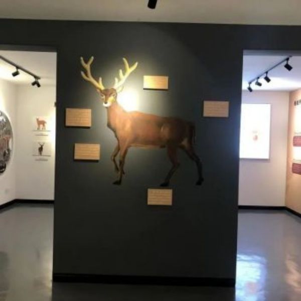 MG4355线路检测中心,湖南野活泼物追踪,湖南卫星追踪器,湖南追踪器