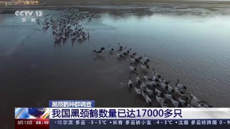 MG4355线路检测中心,湖南野活泼物追踪,湖南卫星追踪器,湖南追踪器