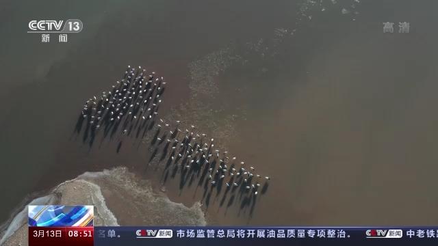 MG4355线路检测中心,湖南野活泼物追踪,湖南卫星追踪器,湖南追踪器