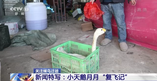 MG4355线路检测中心,湖南野活泼物追踪,湖南卫星追踪器,湖南追踪器