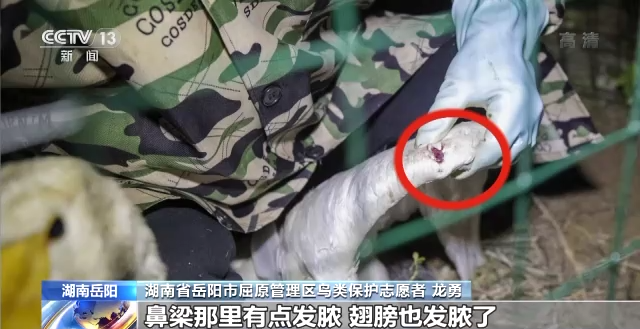 MG4355线路检测中心,湖南野活泼物追踪,湖南卫星追踪器,湖南追踪器