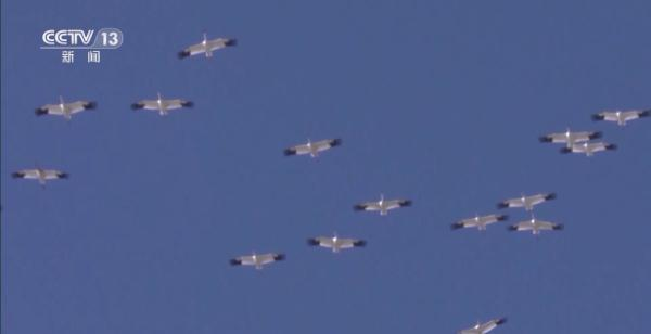 MG4355线路检测中心,湖南野活泼物追踪,湖南卫星追踪器,湖南追踪器