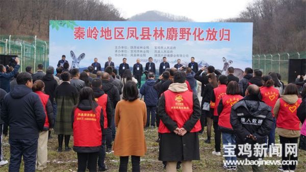 MG4355线路检测中心,湖南野活泼物追踪,湖南卫星追踪器,湖南追踪器