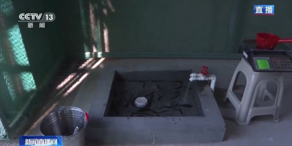 MG4355线路检测中心,湖南野活泼物追踪,湖南卫星追踪器,湖南追踪器