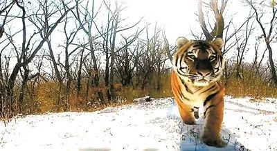 中国·MG4355线路检测中心(股份)有限公司-Official Platform