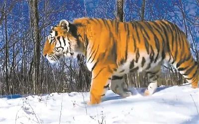 中国·MG4355线路检测中心(股份)有限公司-Official Platform