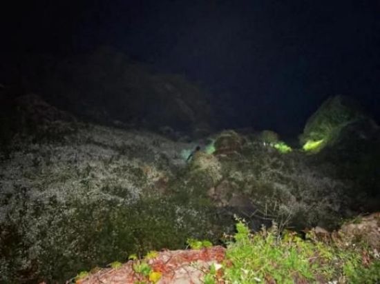 MG4355线路检测中心,湖南野活泼物追踪,湖南卫星追踪器,湖南追踪器