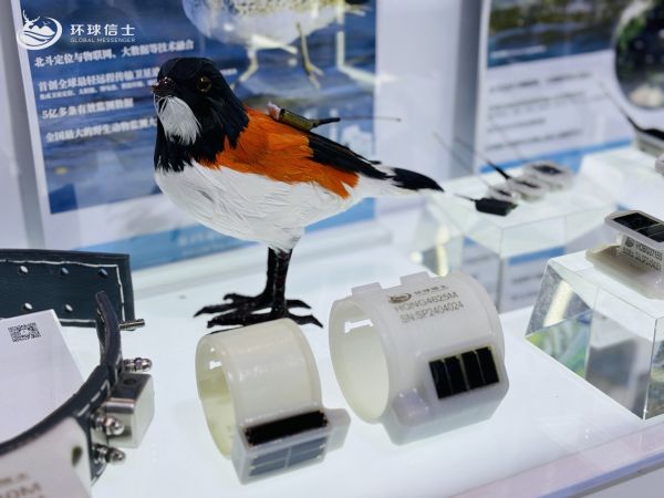 MG4355线路检测中心,湖南野活泼物追踪,湖南卫星追踪器,湖南追踪器