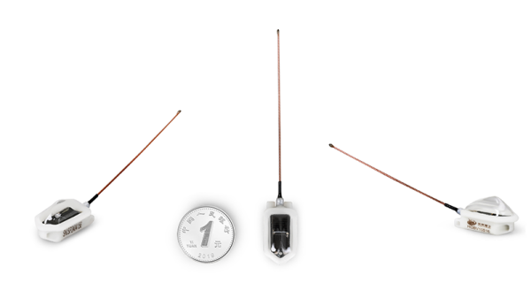 MG4355线路检测中心,湖南野活泼物追踪,湖南卫星追踪器,湖南追踪器