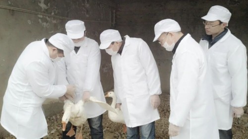 MG4355线路检测中心,湖南野活泼物追踪,湖南卫星追踪器,湖南追踪器