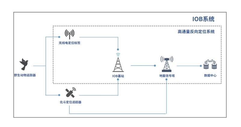 MG4355线路检测中心,湖南野活泼物追踪,湖南卫星追踪器,湖南追踪器